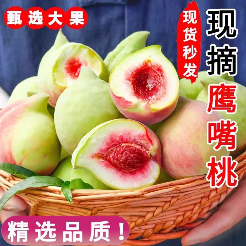 正宗江西赣南鹰嘴桃新鲜现摘脆甜桃子5/10斤非广东连平鹰嘴蜜桃
