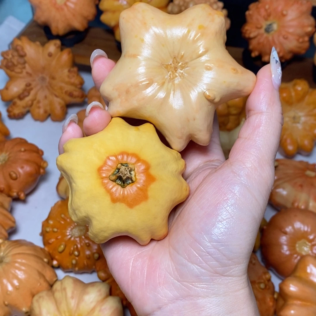 蟹***方两把微瑕胖星星不退不换