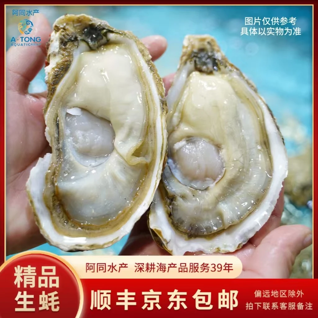 【阿同海鲜】精品生蚝肉质鲜甜饱满0.4斤/个 仅福建省内可拍