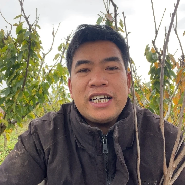 当前无花栽培后可以开花59