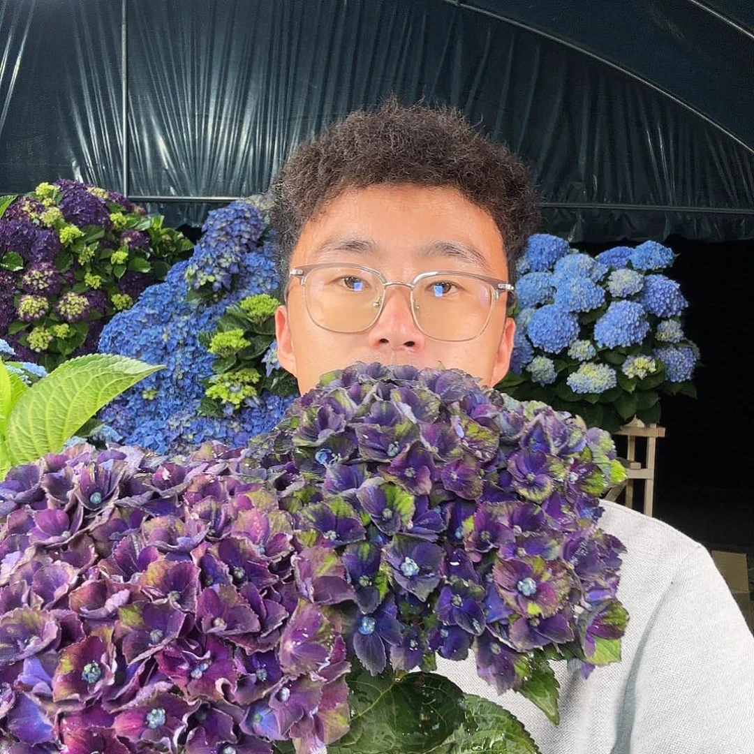 魔幻夏洛特1加仑f1两朵花发货