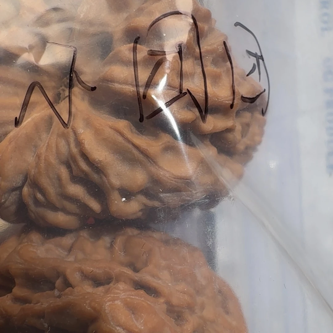 文玩核桃吊坠?****多抱拳了