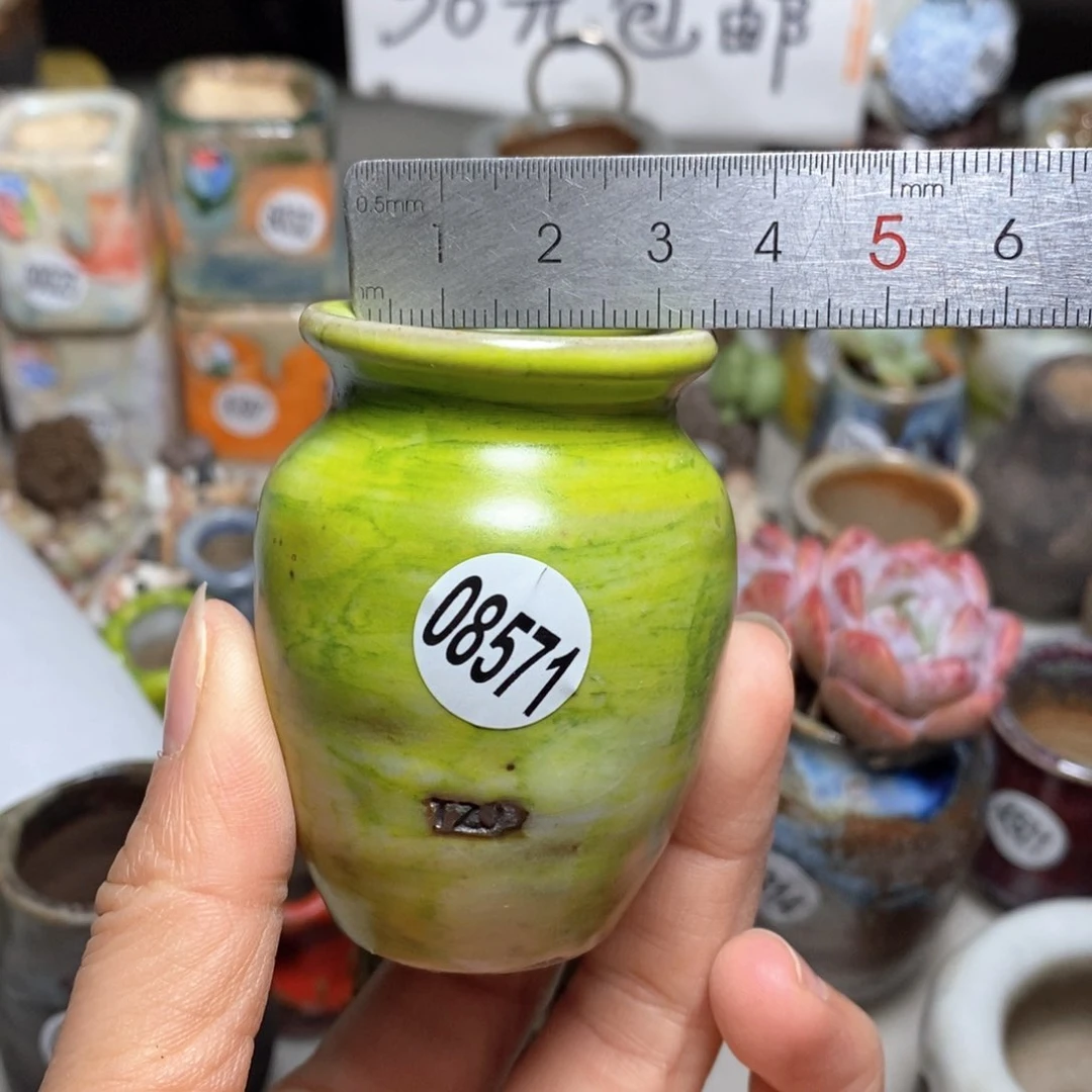 花盆拍5送一个小礼物