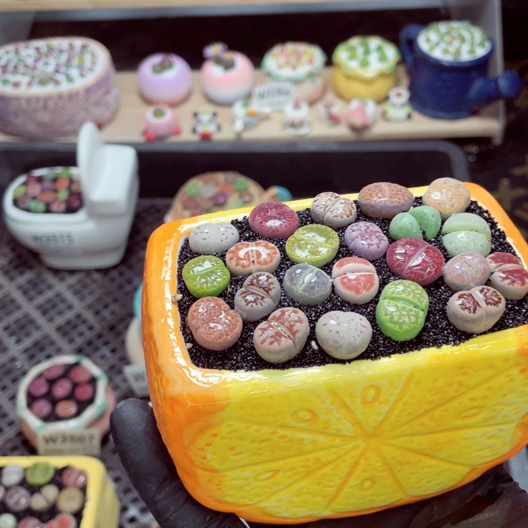 夜间零下地区拍保温箱w3521