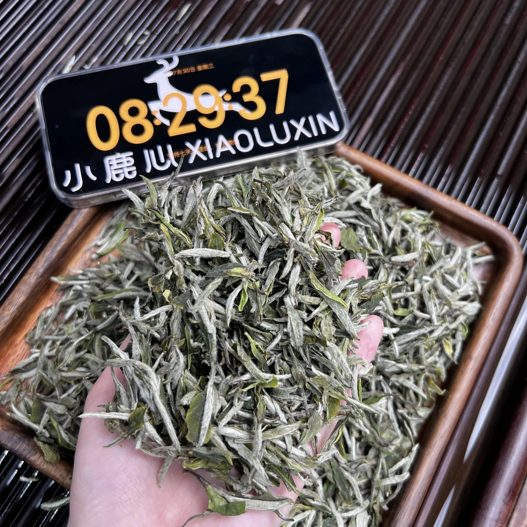 2025牡丹王 ① 小鹿收茶 福鼎白茶 7月30