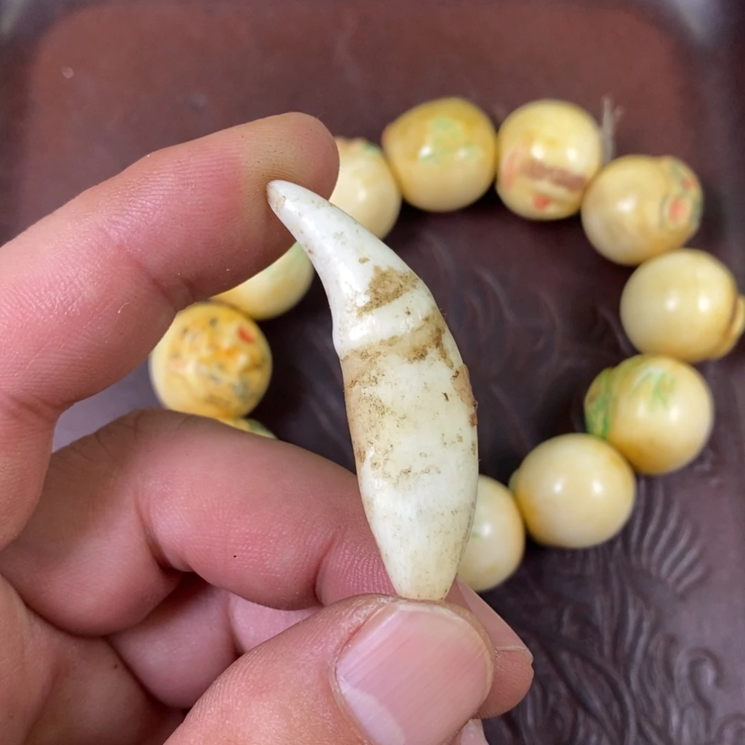 狗牙手串/手链配饰227