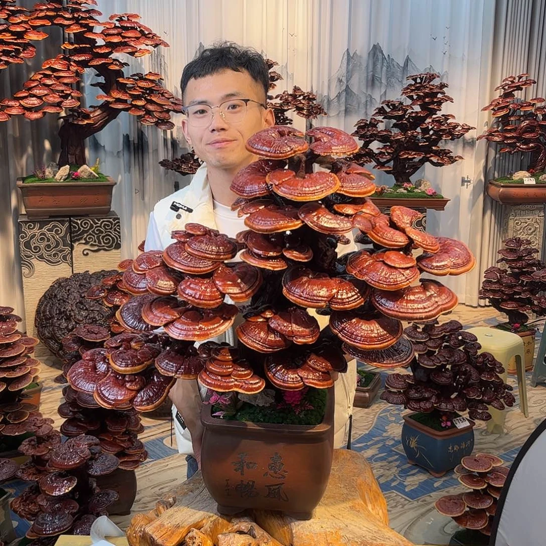 无花朵888888888888