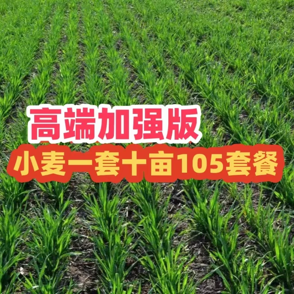 【高端十亩】小麦年后一喷多防营养增产方案