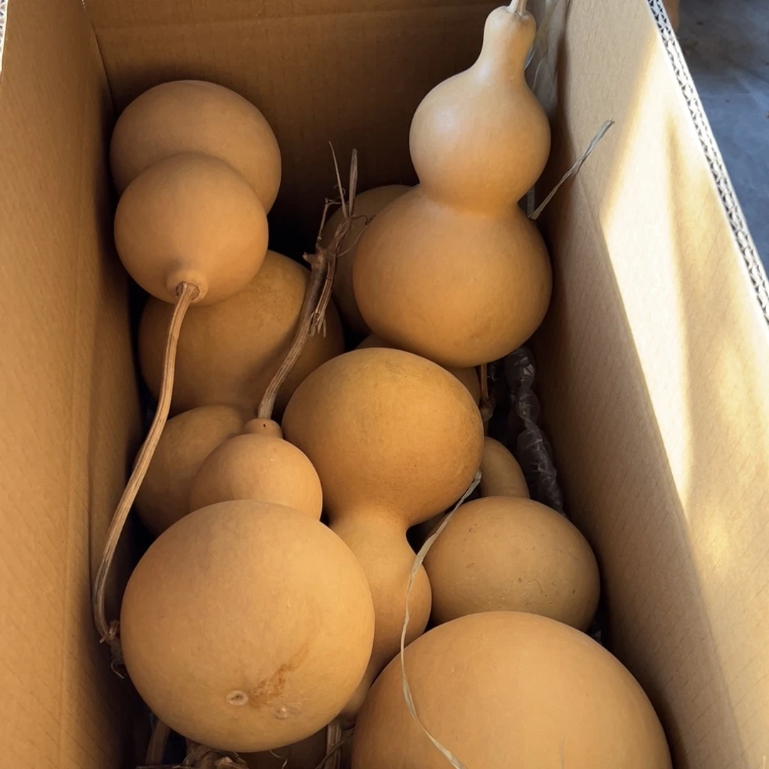 风***1有机玻璃葫芦葫芦