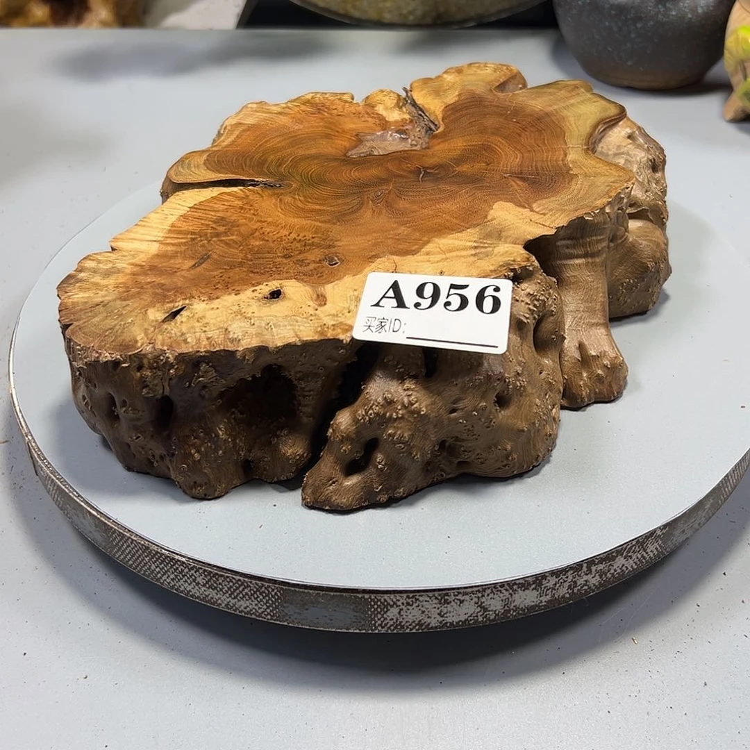 大果紫檀（缅甸花梨）末**置