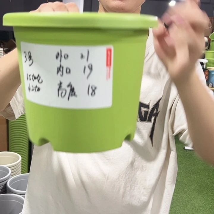 四季3号口21高18果绿色10只无托