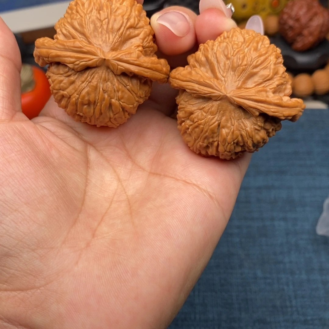 文玩核桃把件全品白狮子44尺