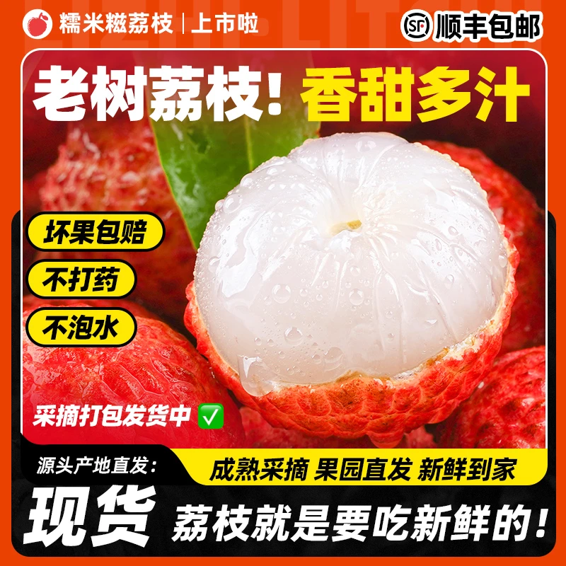 【次日达】广东糯米糍荔枝4.5斤礼盒装/新鲜采摘顺丰包邮现货现发上海市
