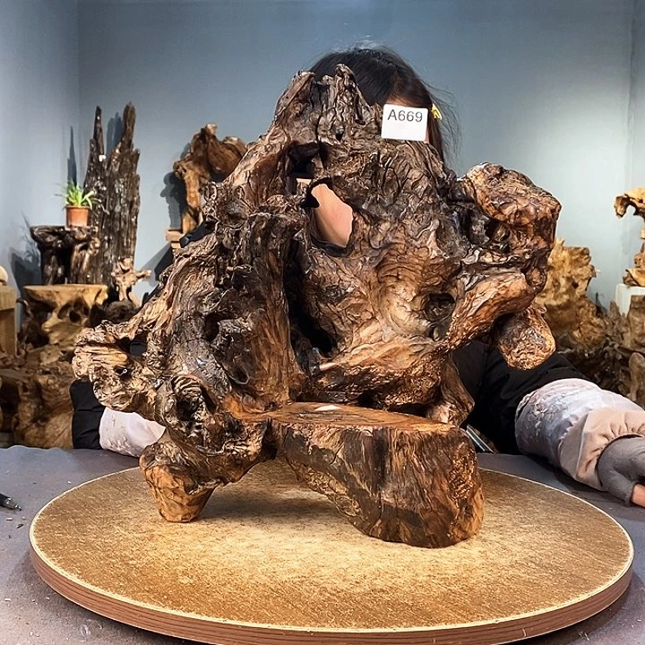 茶盏善*669株木的随行的根艺