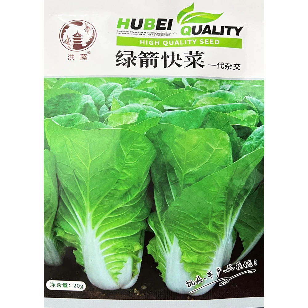 洪蔬 绿箭快菜种子 四季耐热小白菜种子 无毛小白菜 叶菜种子