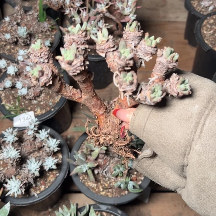 2007哈哈哈哈哈哈哈哈