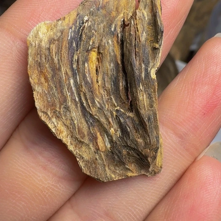 沉香碎屑沉香广西博白虎斑棋0.9克