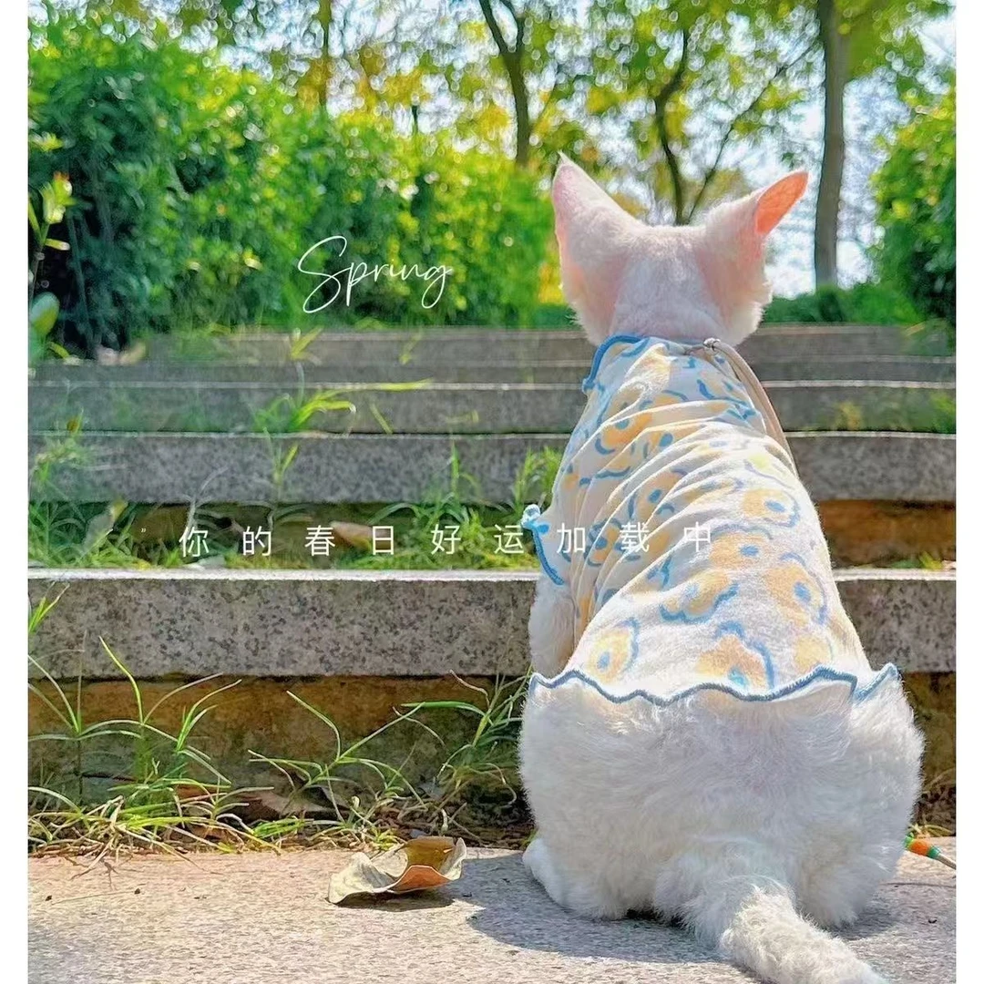 猫咪衣服德文时尚可爱公主风优雅蓝色碎花飞机袖高级可爱宠物衣服