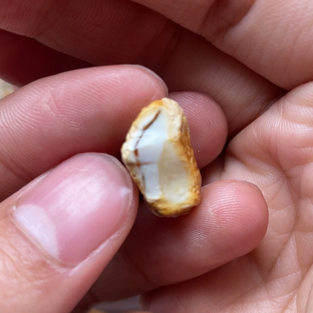 定制琥珀未镶嵌天然蜜蜡