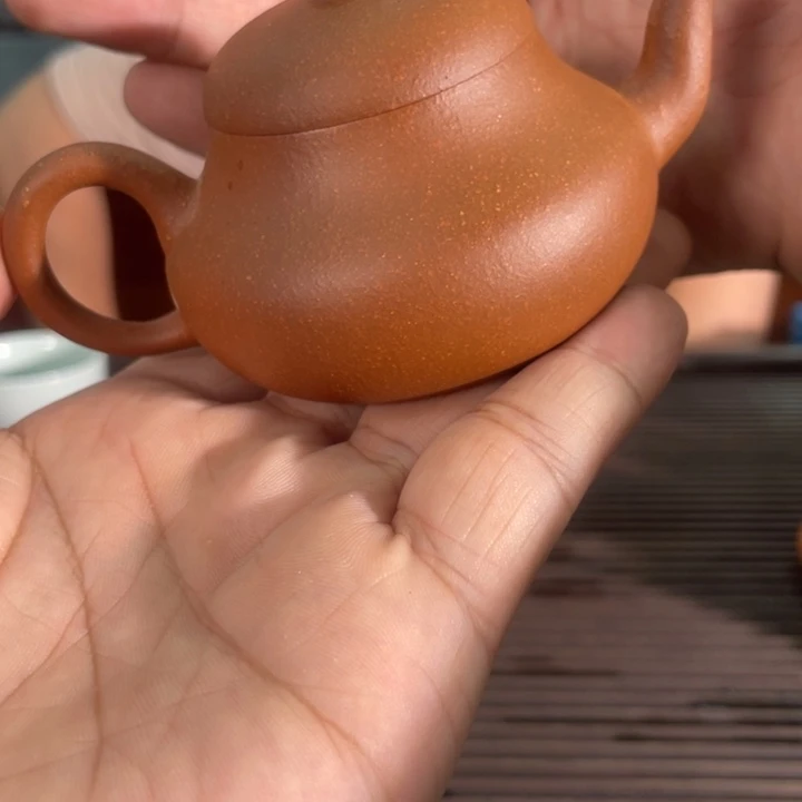 茶壶紫砂哈哈哈哈哈这个综艺