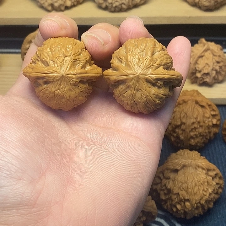 核桃39铁锤妹妹福利