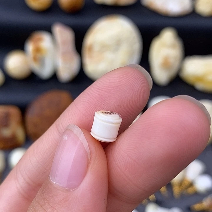 琥珀未镶嵌裸石6线束b304