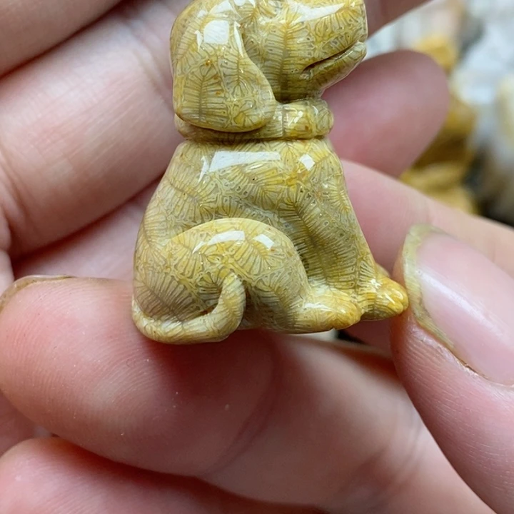 颈饰未镶嵌硅化珊瑚（珊瑚玉）森**烛