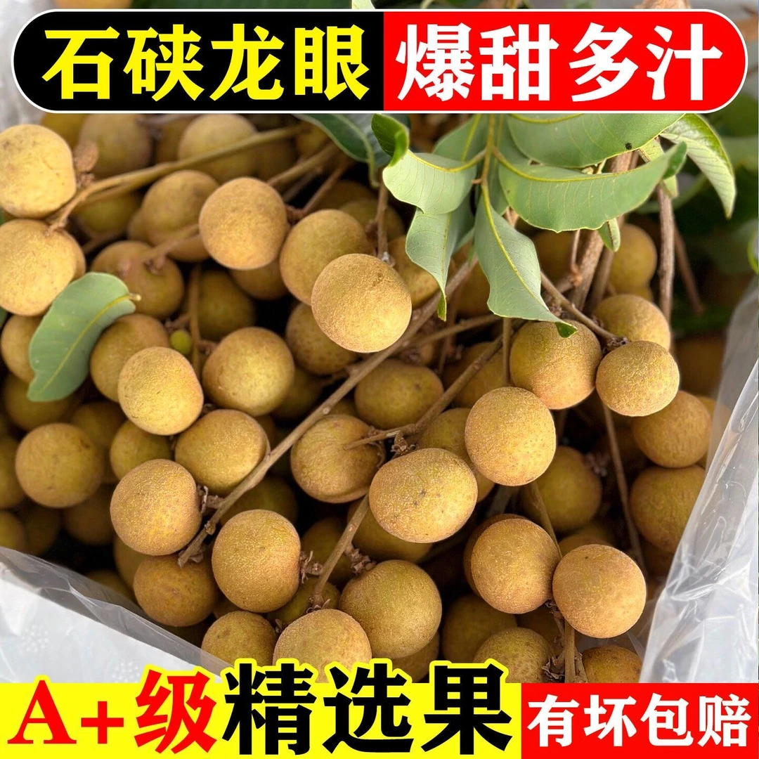 【顺丰次日达】广东高州老树石硖龙眼新鲜水果当季水果现摘现发五斤装包邮