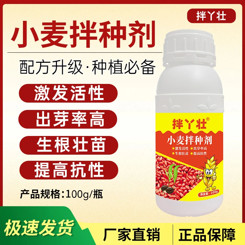 小麦拌种剂激活小麦种子活性出苗快齐提高免疫生根壮棵长势健壮