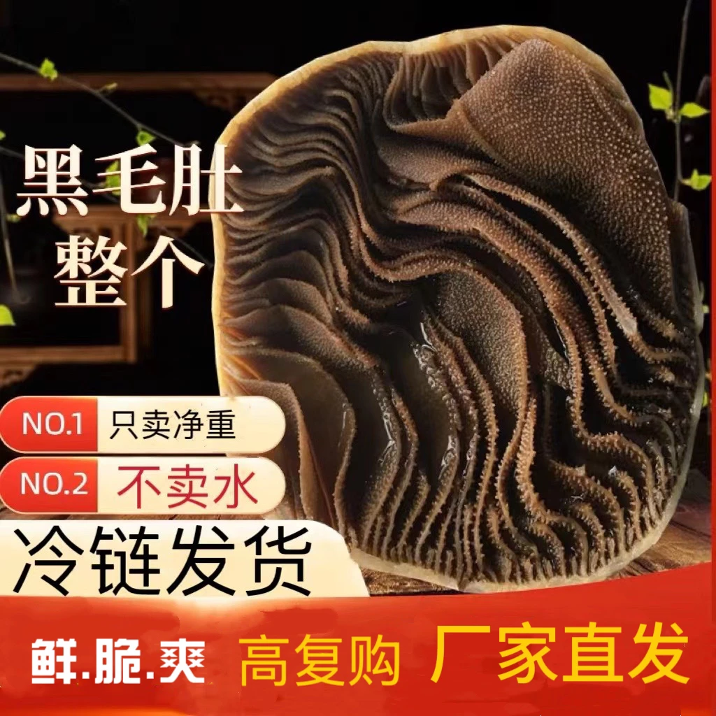 【净重4斤】新鲜大块黑毛肚商用批发牛百叶重庆火锅 固形物含量95
