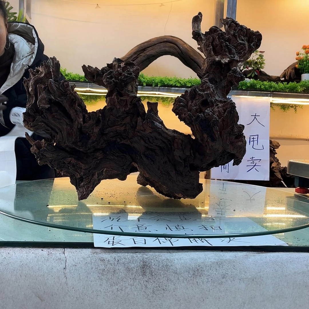 柚木沉木鱼缸造景