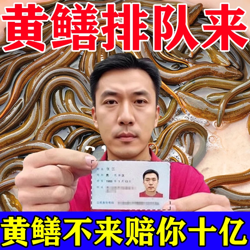 抓黄鳝专用诱饵鳝鱼饵料诱食剂捕捉黄蟮泥鳅鳝鱼王神器专用克星