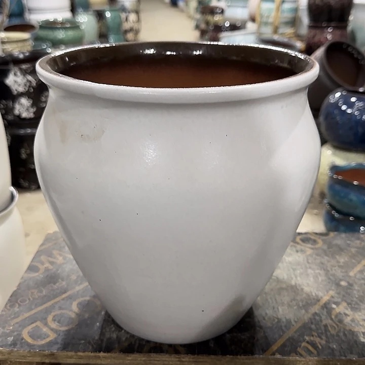 高度25口25啦啦啦啦啦