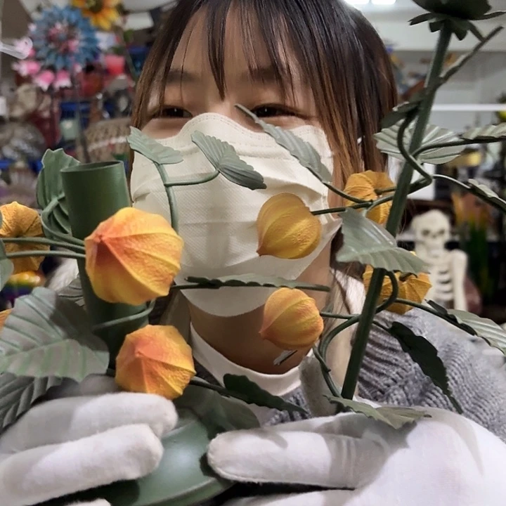 核桃木/黑胡桃（胡桃木）