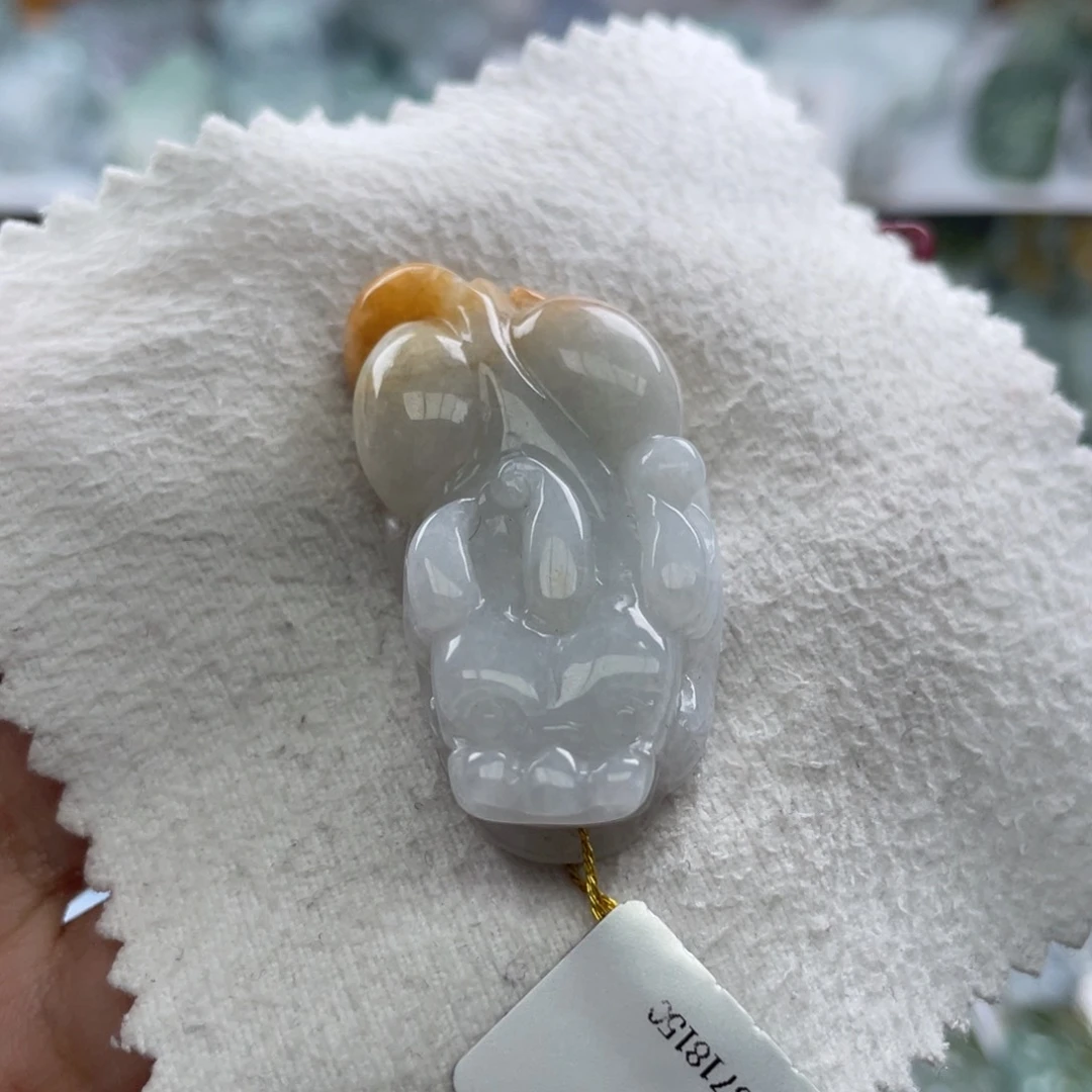 颈饰未镶嵌翡翠貔貅33