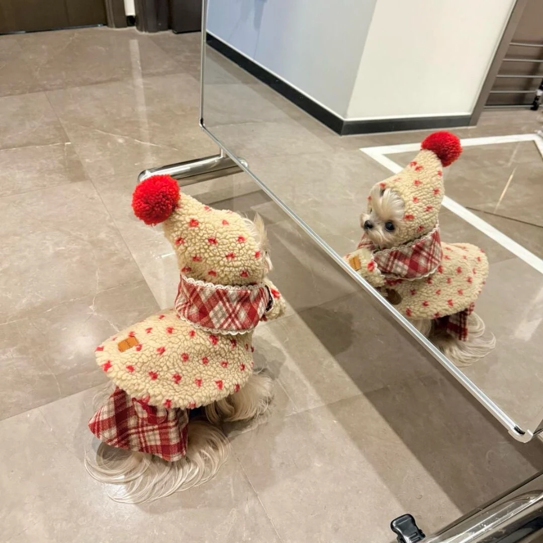 狗狗衣服秋冬装泰迪比熊博美小型犬宠物服装猫咪保暖加厚两脚衣
