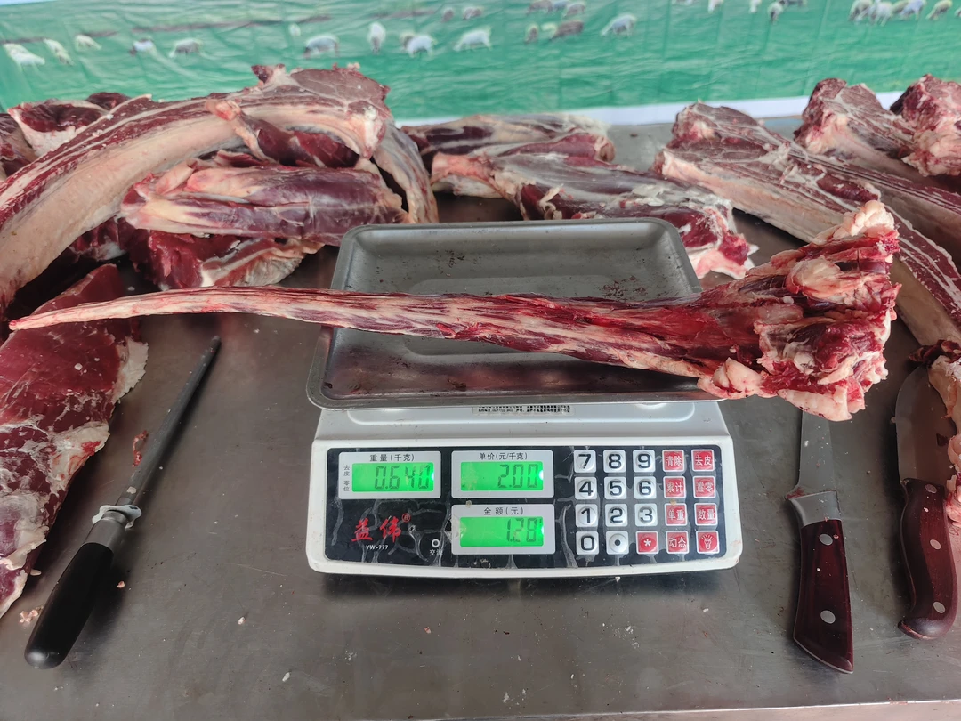 内蒙古草地溜达牛尾巴