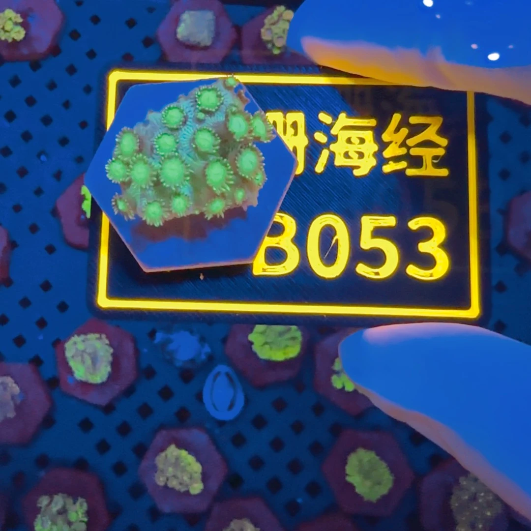 萌***o纽扣珊瑚晓晓不包邮圆帽切件B053