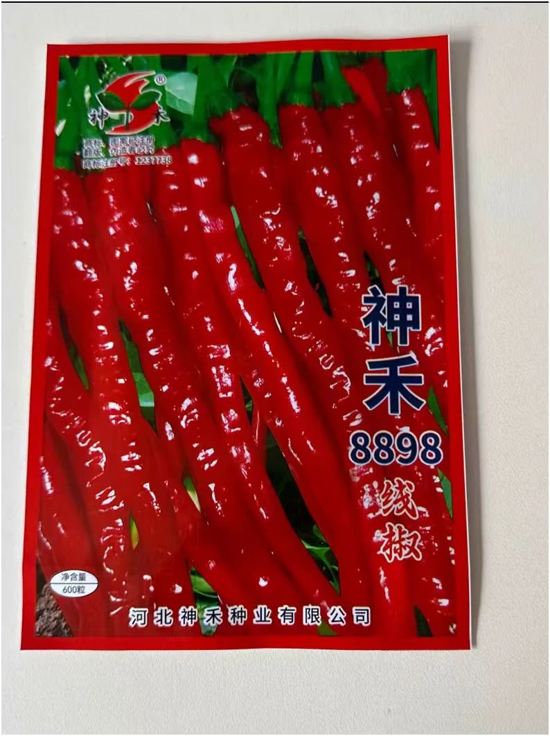 【8898线椒种子】四季种植盆栽地栽阳台小院种植