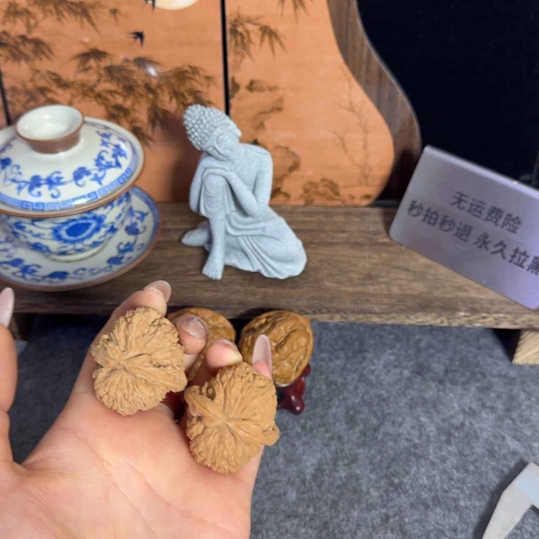 全品39白狮子白茬不退换