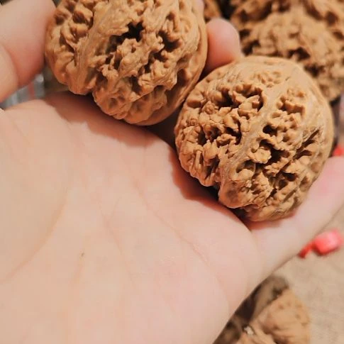 文玩核桃吊坠41粗筋