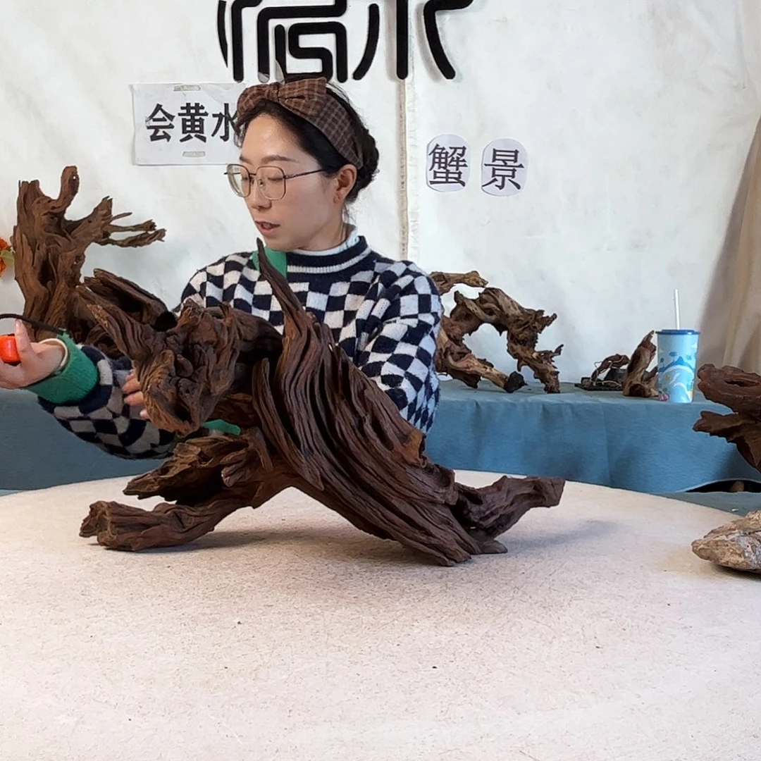 周末福利沉木造景