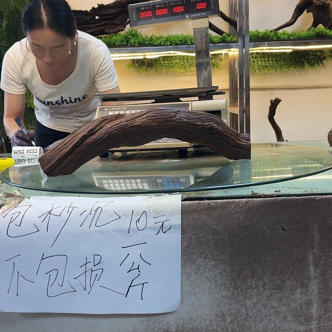 岁***好柚木沉木鱼缸造景