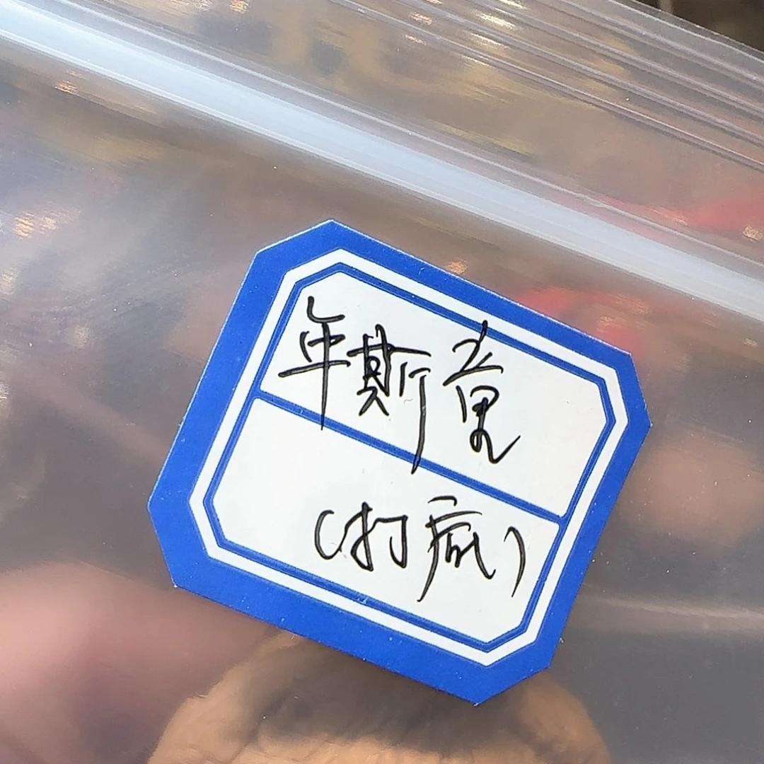文玩核桃吊坠年*童打底费