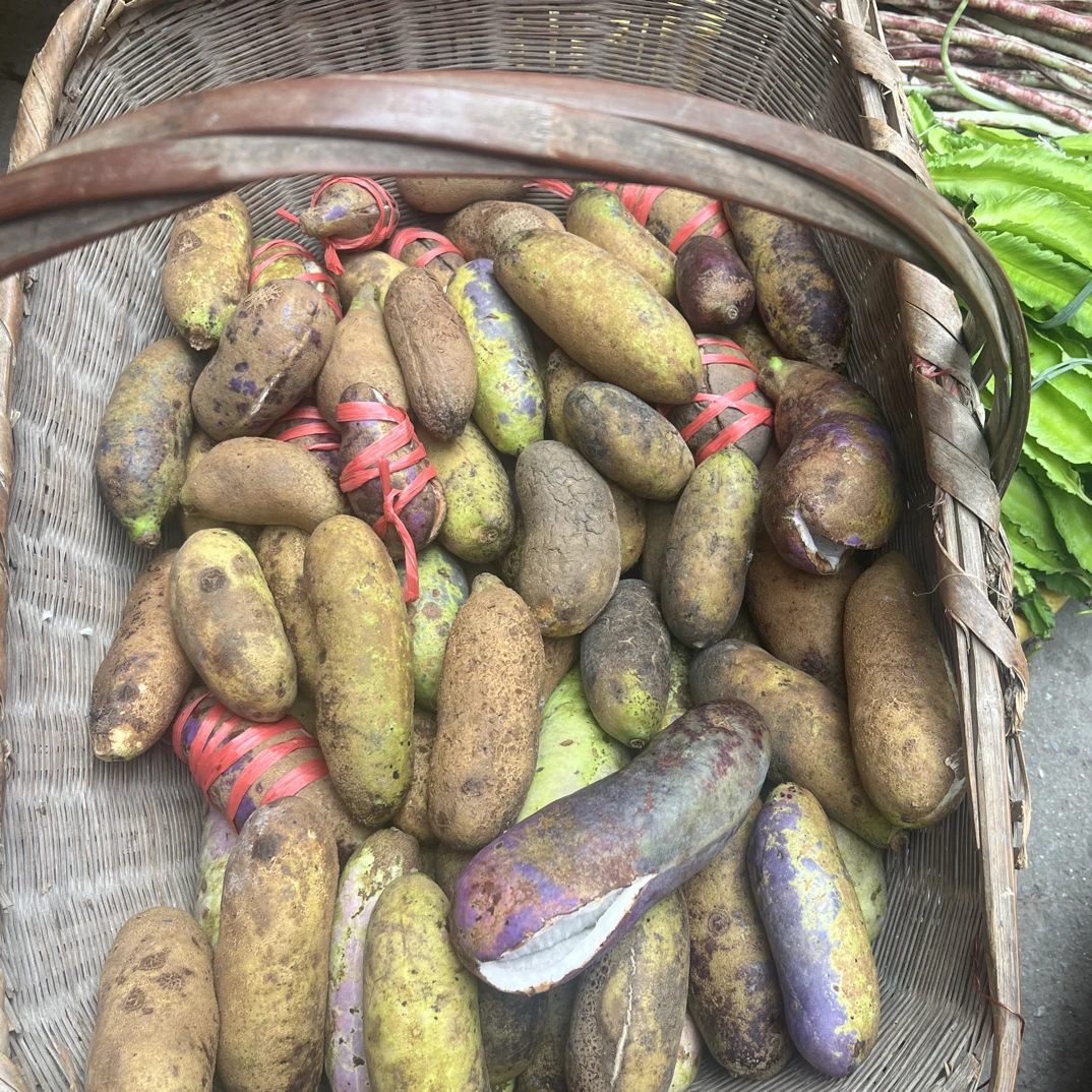 郴州小八月瓜当季新鲜水果现摘软糯香甜包邮