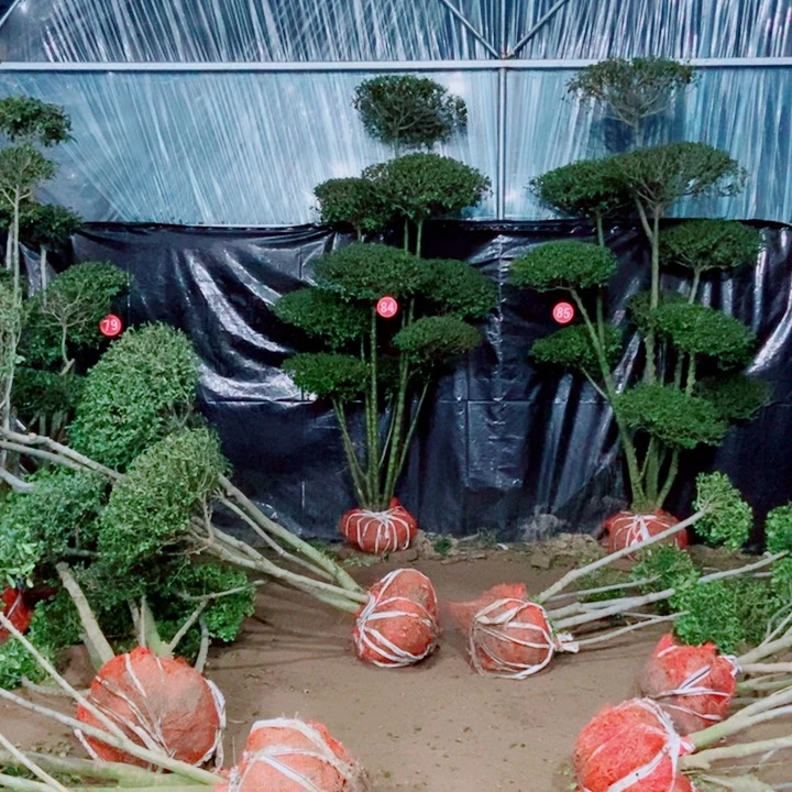 一物一图一物一拍