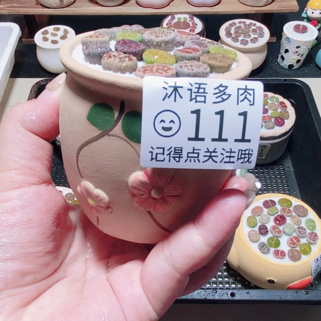 一物一拍 所见即所得111