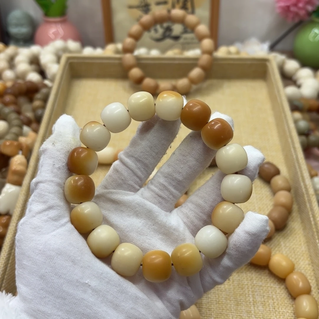 菩提根/象牙果吊坠16干磨瑕疵落地果637