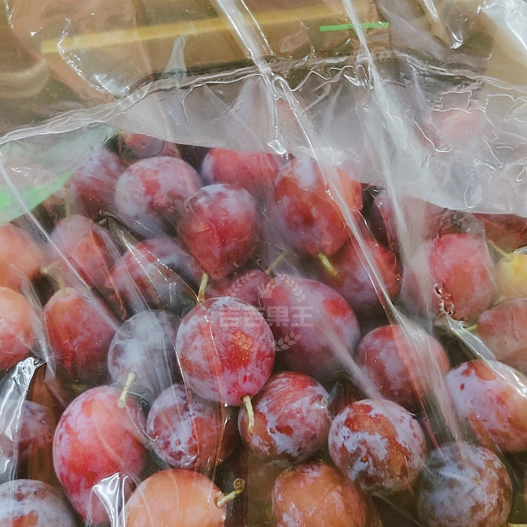 智利法兰西西梅礼盒5斤装