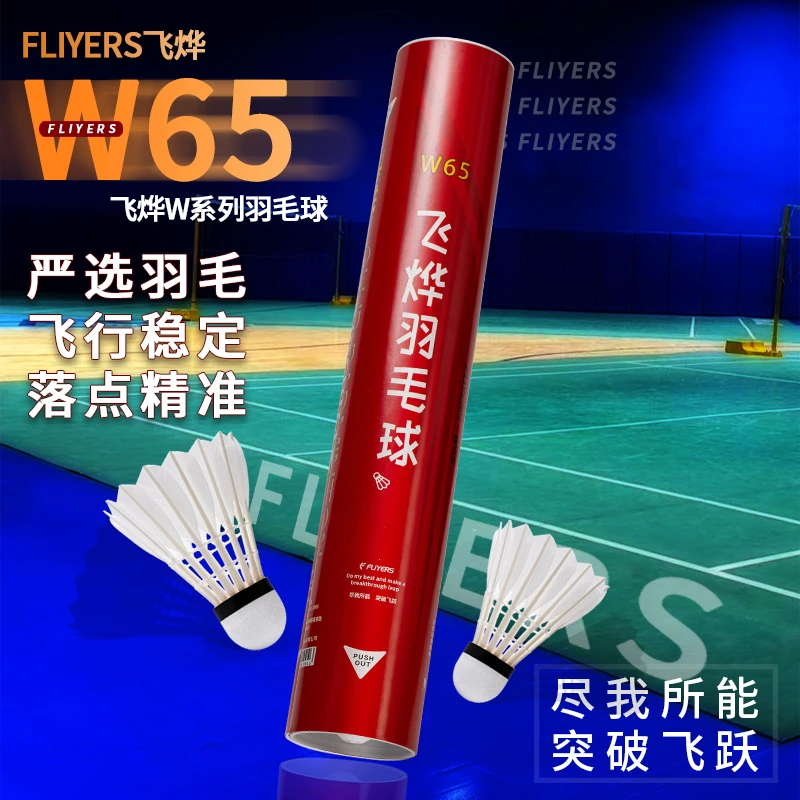 飞烨W65羽毛球12只装飞行稳定耐打全圆适用于室内室外训练比赛